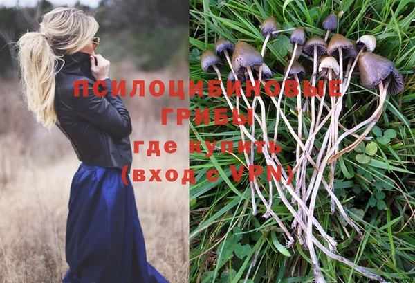 прущий лед Балахна