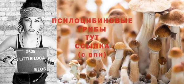 бутират Баксан