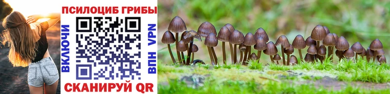 Галлюциногенные грибы MAGIC MUSHROOMS Севск